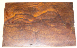 2820 Desert Ironwood Burl Scales 134 x 45 x 8 mm