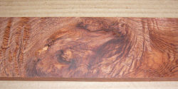 Pa045 Rosewood, Honduran Small Board 50 x 75 x 16 mm