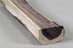 Cc025 Cocusholz Cocus Wood, grünes Ebenholz Stammabschnitt 260 x 50 x 40 mm