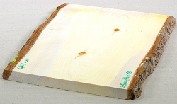 Gk003 Ginkgo Wood Board 350 x 190 x 18 mm