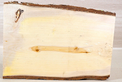 Gk003 Ginkgo Wood Board 350 x 190 x 18 mm