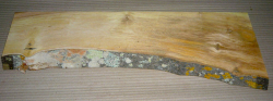Fi024 Fig Wood, Fig Tree Board 540 x 140 x 28 mm
