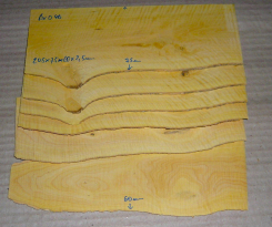 Bx046 Buchsbaum europäisch Sägefurnier 6 x 205 x 75-60 x 2,5 mm