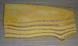 Bx046 Boxwood European Saw Cut Veneer 6 x 205 x 75-60 x 2,5 mm