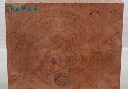 Re004 Redwood Maser, Sequoia Vavona Maser Block 240 x 240 x 45 mm