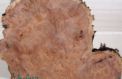 Re012 Redwood Maser, Sequoia Vavona Maser Dekostück 300 x 260 x 40 mm
