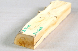 Bx051 Boxwood European Log Cutoff 290 x 55 x 38 mm