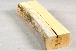 Bx053 Boxwood European Log Cutoff 225 x 50 x 37 mm