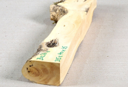 Bx056 Boxwood European Log Cutoff 315 x 40 x 35 mm