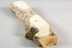 Bx056 Boxwood European Log Cutoff 315 x 40 x 35 mm