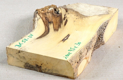 Bx058 Boxwood European Log Cutoff 200 x 95 x 30 mm