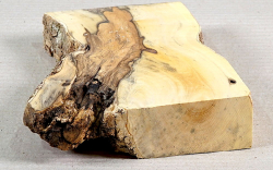 Bx058 Boxwood European Log Cutoff 200 x 95 x 30 mm