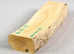 Bx059 Boxwood European Log Cutoff 210 x 50 x 35 mm
