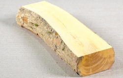 Bx059 Boxwood European Log Cutoff 210 x 50 x 35 mm