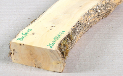 Bx060 Boxwood European Log Cutoff 250 x 55 x 30 mm