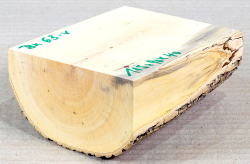 Bx063 Boxwood European Log Cutoff 115 x 90 x 40 mm