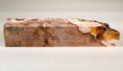 Rue065 Elm Burl Blank 360 x 70 x 70 mm