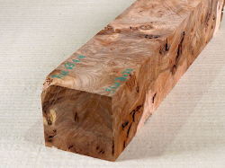 Rue065 Elm Burl Blank 360 x 70 x 70 mm