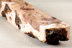 Rue065 Elm Burl Blank 360 x 70 x 70 mm