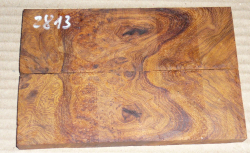 2813 Wüsteneisenholz Maser Griffschalen 134 x 45 x 8 mm
