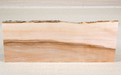 Ap017 Apple Wood Small Board 300 x 110 x 15 mm
