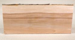 Ap025 Apple Wood Small Board 300 x 130 x 10 mm