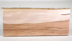 Ap026 Apple Wood Small Board 300 x 120 x 10 mm