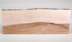 Ap027 Apple Wood Small Board 300 x 110 x 8 mm
