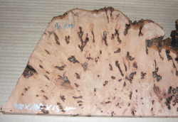 Bc019 Beech, Copper Beech Decorative Burl Slice 400 x 160 x 19 mm