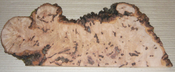 Bc020 Beech, Copper Beech Decorative Burl Slice 410 x 140 x 20 mm