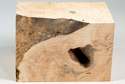 Ah123 Oregon Maple Burl Spalted Block 150 x 100 x 100 mm
