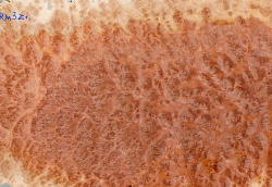 Rm003 Red Mallee Burl Slice 600 x 275 x 13 mm