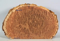 Bbx001 Black Box Burl Maserholzscheibe 400 x 310 x 12 mm