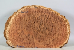 Bbx002 Black Box Burl Maserholzscheibe 360 x 290 x 13 mm