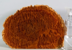 Bbx003 Black Box Burl Slice 280 x 280 x 12 mm
