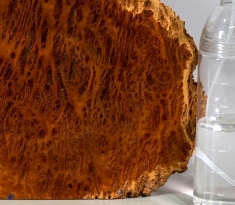 Bbx003 Black Box Burl Slice 280 x 280 x 12 mm