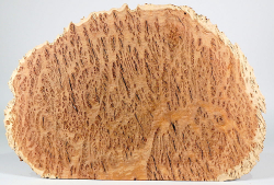 Bbx003 Black Box Burl Slice 280 x 280 x 12 mm