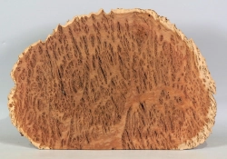 Bbx003 Black Box Burl Slice 280 x 280 x 12 mm