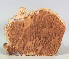 Bbx006 Black Box Burl Maserkappe 220 x 205 x 20 mm
