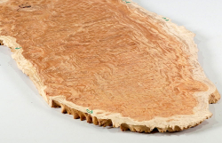 Wl008 Woodline Mallee Burl Disc 400 x 240 x 13 mm