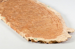 Wl009 Woodline Mallee Burl Disc 380 x 210 x 13 mm