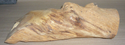 Fl010 Lilac Wood Log Cut Off Decorative Twisted Piece 400 x 110 x 120 mm