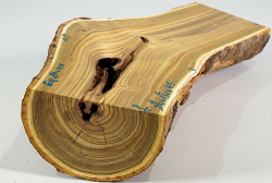 Eg024 Staghorn Sumac Log Section 290 x 130 x 45 mm