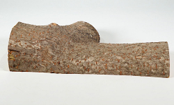 Eg024 Staghorn Sumac Log Section 290 x 130 x 45 mm