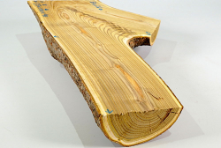 Eg026 Staghorn Sumac Log Section 350 x 140 x 40 mm
