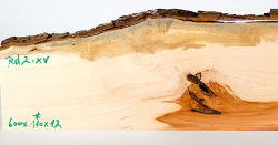 Rd002 Rotdorn-Holz Brettchen 600 x 110 x 12 mm