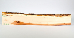 Rd003 Rotdorn-Holz Brettchen 595 x 95 x 12 mm