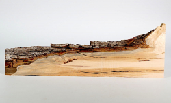 Rd007 Rotdorn-Holz Brettchen 425 x 100 x 14 mm