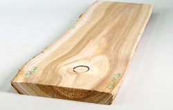 Tr005 Catalpa, Bean Tree Small Board 530 x 145 x 20 mm