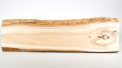 Tr005 Catalpa, Bean Tree Small Board 530 x 145 x 20 mm